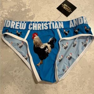 Andrew Christian Briefs, NWT, Large